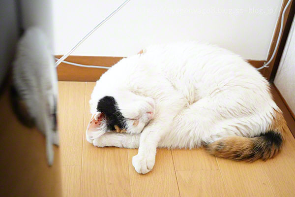 こ　こな　2024-06-27（木）
